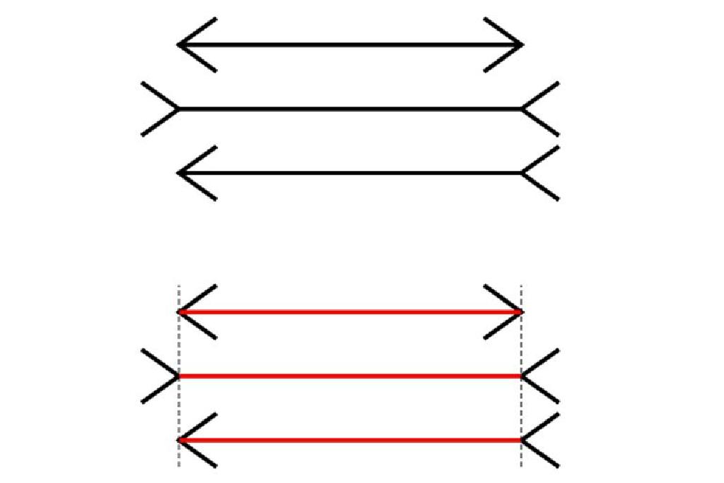 كيف يعمل Muller Lyer Illusion